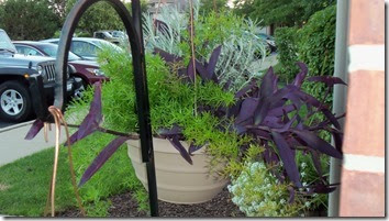 07-16-2017 GW11 (25)