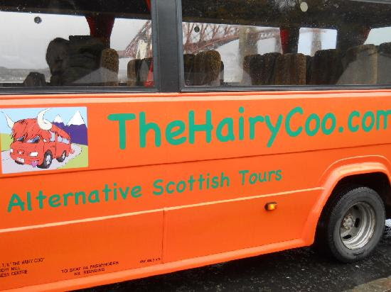 Read The Hairy Coo Free Scottish Highlands Tour Reviews