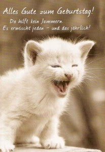 zum 30 geburtstag gemeine sprüche