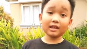 Terpopuler Tebak Gambar Ayam, Yang Populer!