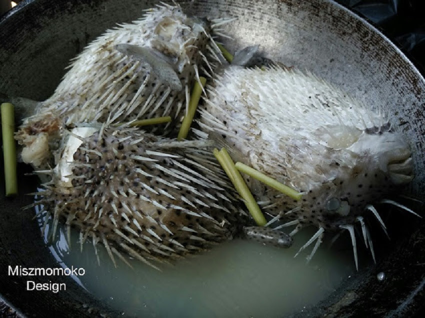 Cara Nak Bersihkan Ikan Buntal & Rasai Kelainan Masakan 