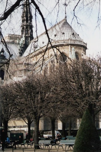 Parke Behind Notre Dame Cathedral Paris