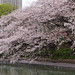 DSC05398