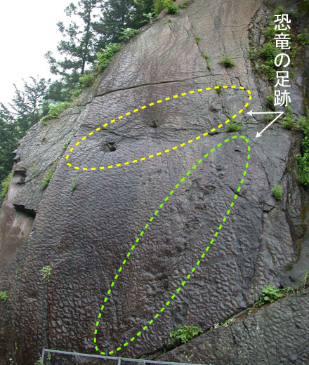 神流町恐竜センター 恐竜の足跡