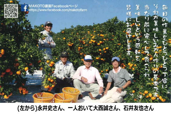 半分すずなりのふしぎなミカン 10月末のよく晴れた日 三重県熊野市でミカンを栽培している ｍａｋｏｔｏ農園を訪ねました ちょうど温州ミカン の極早生から早生の品種が収穫を迎える時期 たわわに実ったミカンが陽の光を浴びて 園地全体を明るく