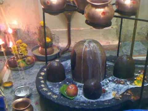 Laghu Rudrabhishek script: Attain worldly pleasure by chanting Rudrabhishek 11 times a day.