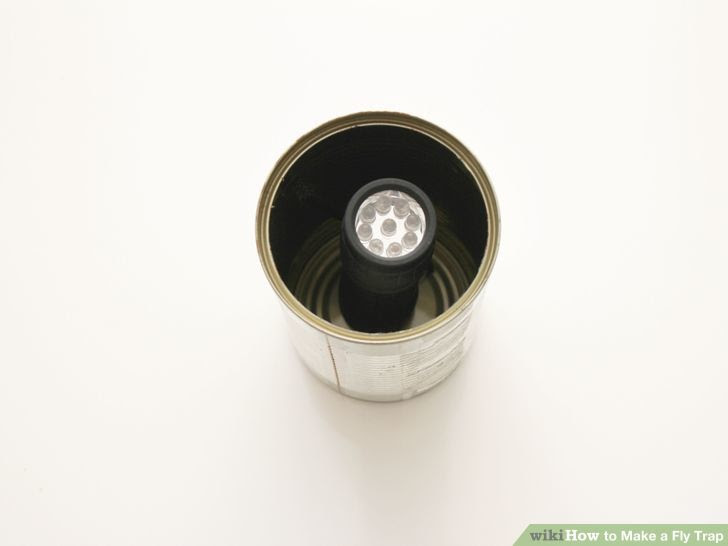 Make a Fly Trap Step 17 Version 3.jpg