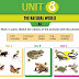 English Grade 11 The Natural World