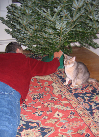Christmas tree