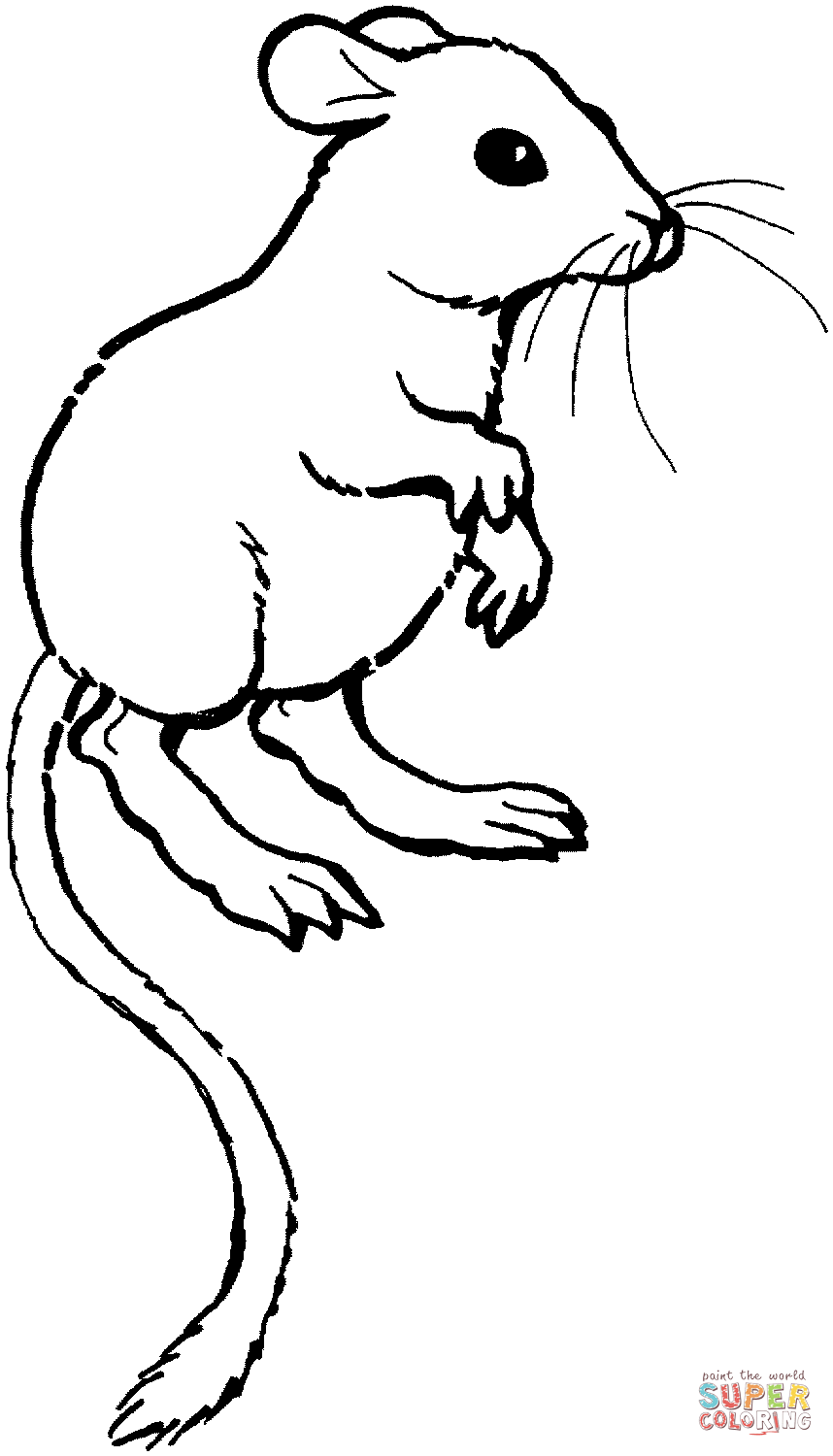 Dessin jeux de coloriage rat a colorier