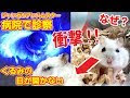 目 飛び出す 155990-目 飛び出す