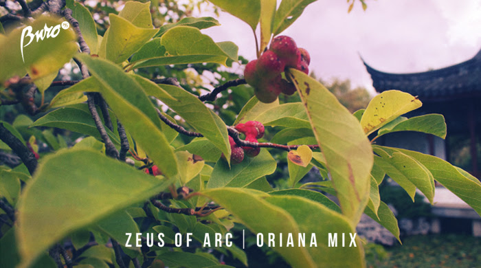 Что послушать: микс для Buro 24/7 от Zeus of Arc