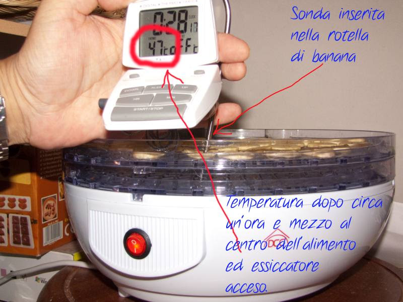 Immagine Allegata