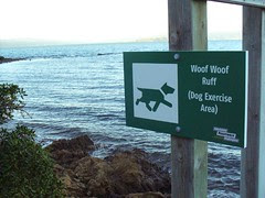 Dog language