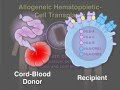 Cord Blood Banking Leukemia