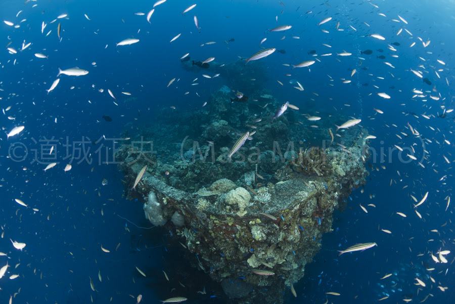 南海の放浪カメラマン道城征央 Masa Michishiro はミクロネシア 小笠原 沖縄の写真でスローライフ宣言 富士川丸の船首