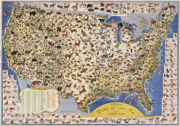 Us Map Game