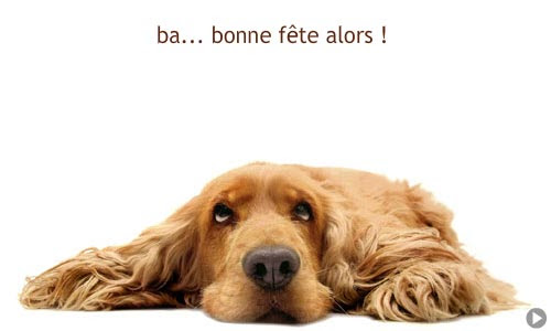 Cartes De Bonne Fete Gratuites Animées