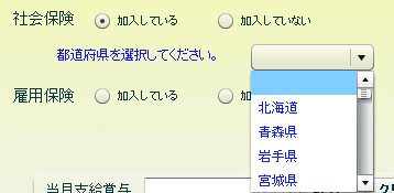 賞与手取り計算 操作マニュアルサイト ヒューマンバリュー
