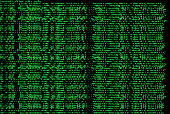 DDoS access.log