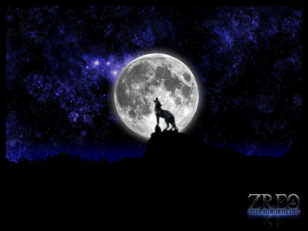 zelda