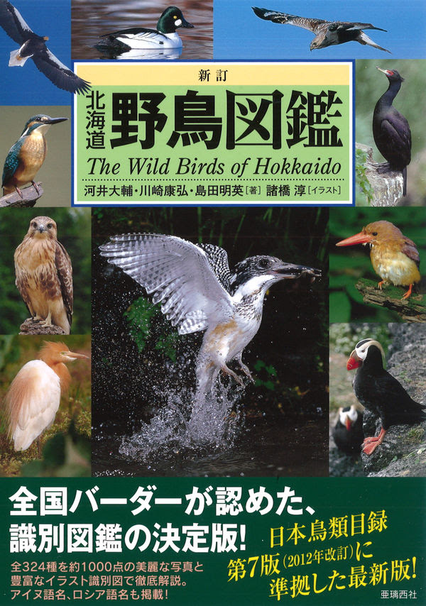 新訂 北海道野鳥図鑑 河井 大輔 著 亜璃西社 版元ドットコム