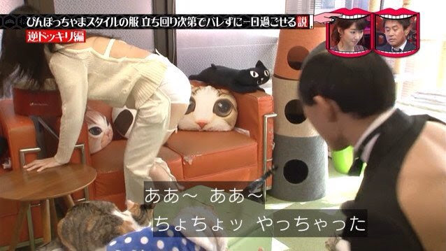 水曜日のダウンタウン びんぼっちゃまスタイル でも1日デートできる説 第2弾の鈴木ふみ奈 332res 分 その日盛り上がったch