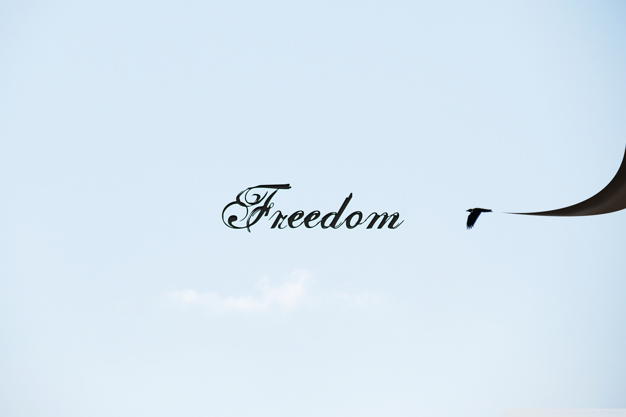 Freedom Ultra HD Desktop Background Wallpaper for : Multi Display, Dual