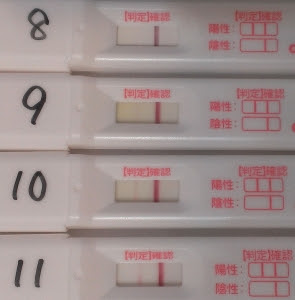 妊娠検査薬フライングの記録