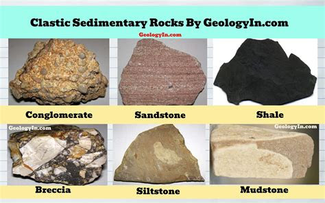 Download Ebook Rocks [PDF] Download PDF