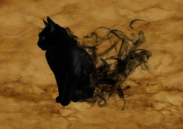 水墨画 猫の描き方 動きを感じさせる生き物 を描くための工夫 水墨画ナビ 気軽に始めたい楽しみたい水墨画初心者の為のブログ