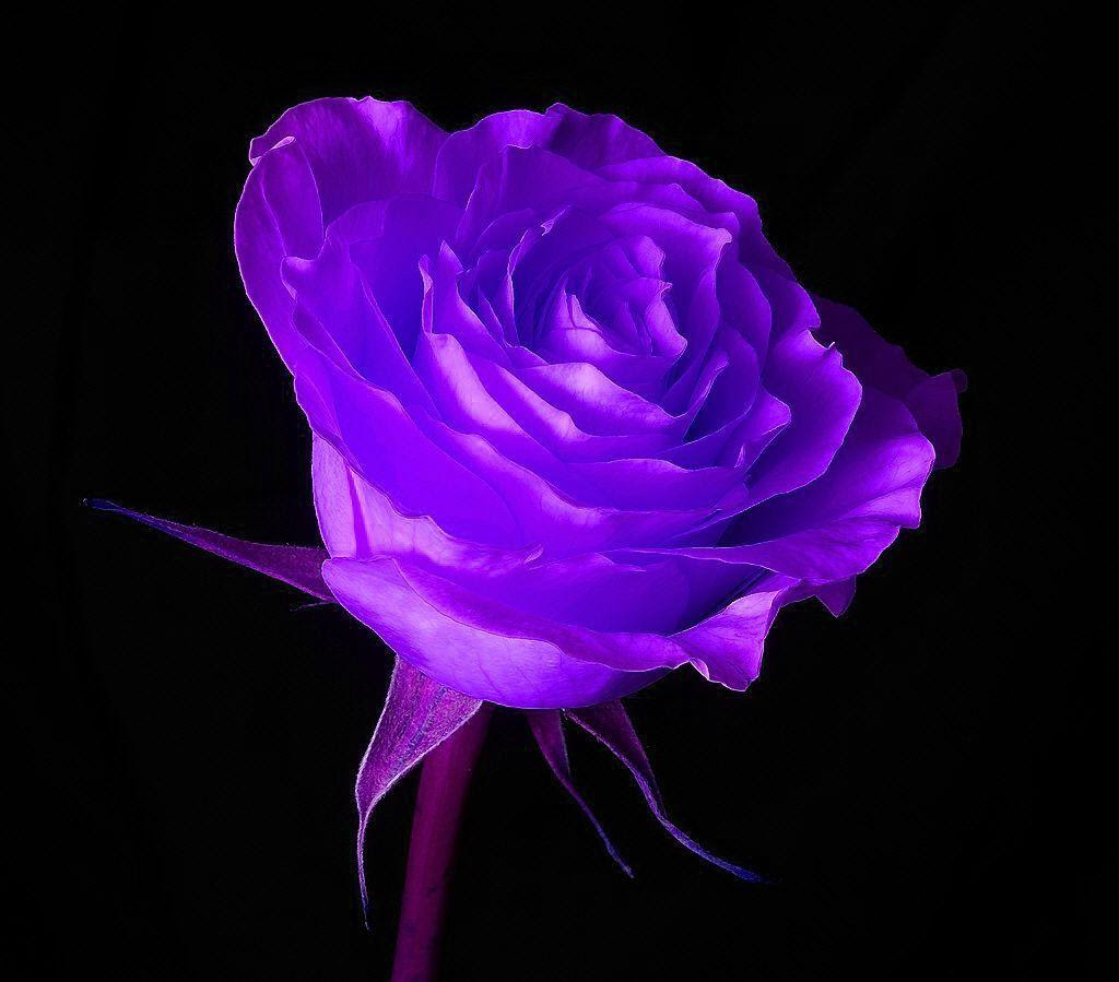 Cool Purple Wallpapers - Wallpaper Cave