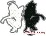 zwani.com myspace graphic comments