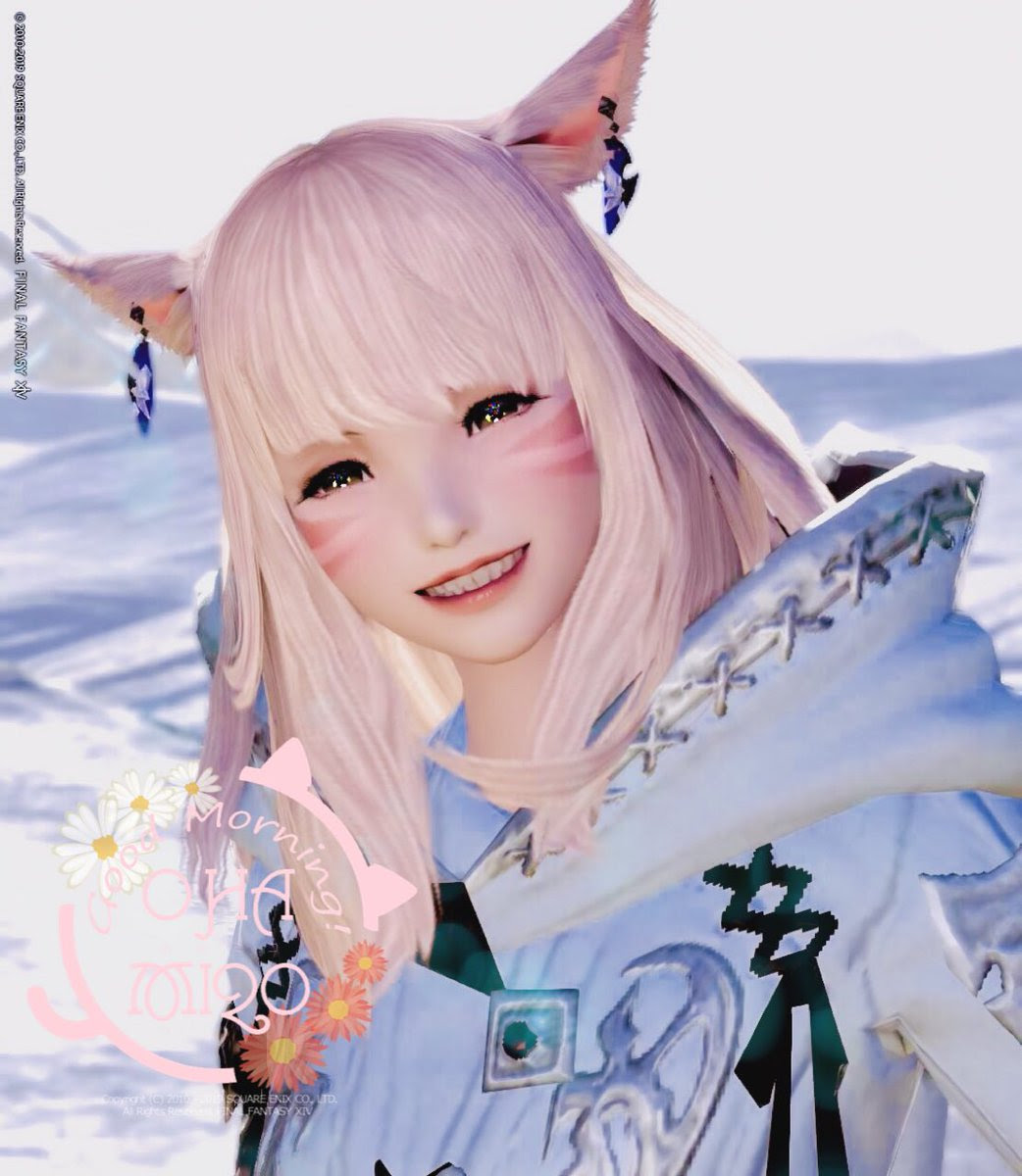 新しいコレクション Ff14 可愛いキャラメイク 動物の画像無料ダウンロード