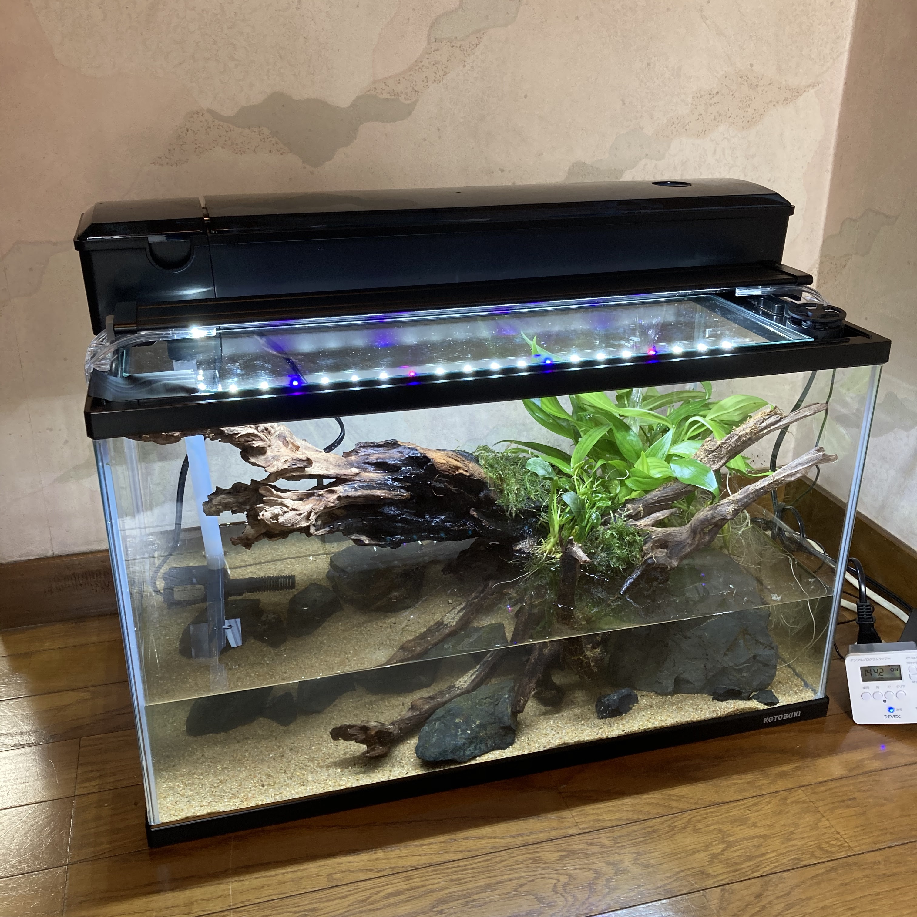 新提案 お手軽本格イモリ飼育水槽 Maco Frog Design