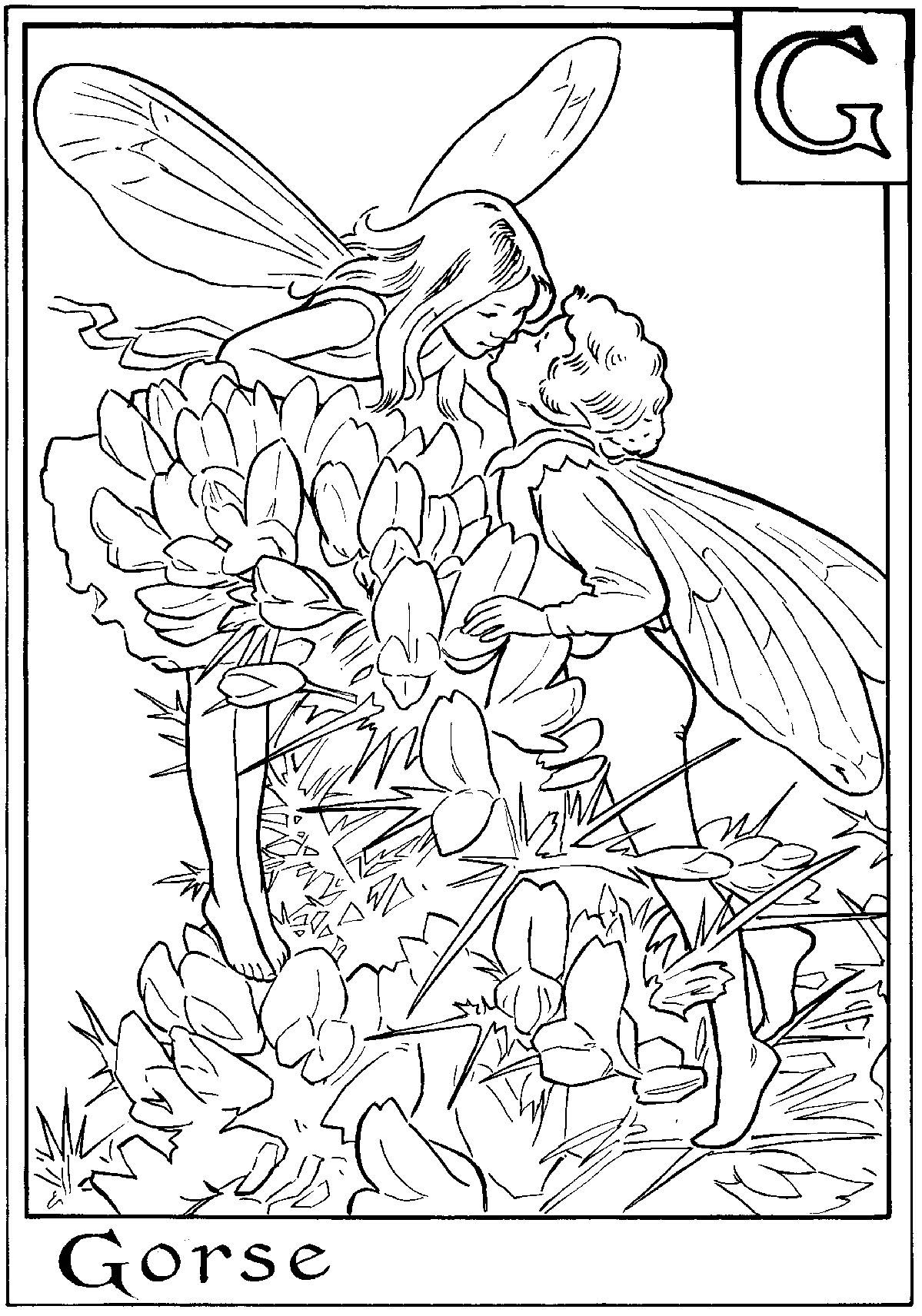 Download Fairy coloring pages for adults to download and print for free