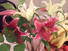 Lillies are blooming