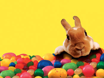 An inquisitive Easter bunny