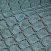 Lace Leaf Shawl 6