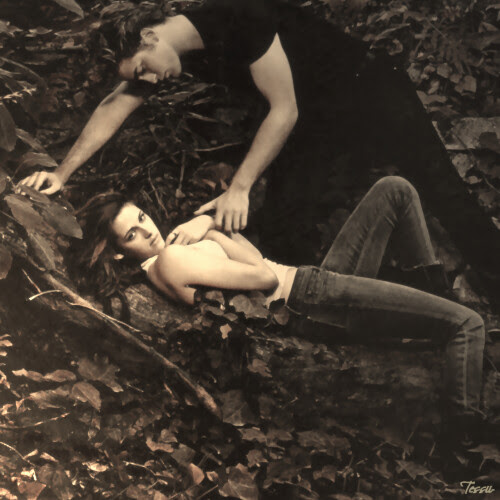 bella twilight quotes. Edward and Bella by Tessii.