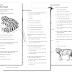 What Are The Different Types Of Animals