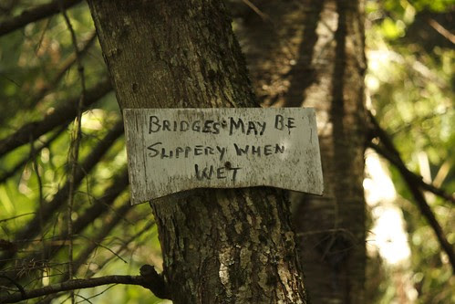 Willoughby Bog Hike (14)
