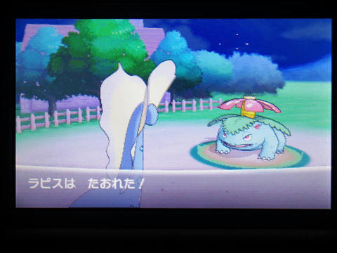 カロス地方にタイムスリップしたポケモントレーナーの手記8 女帝ポッチャマの午後のひととき