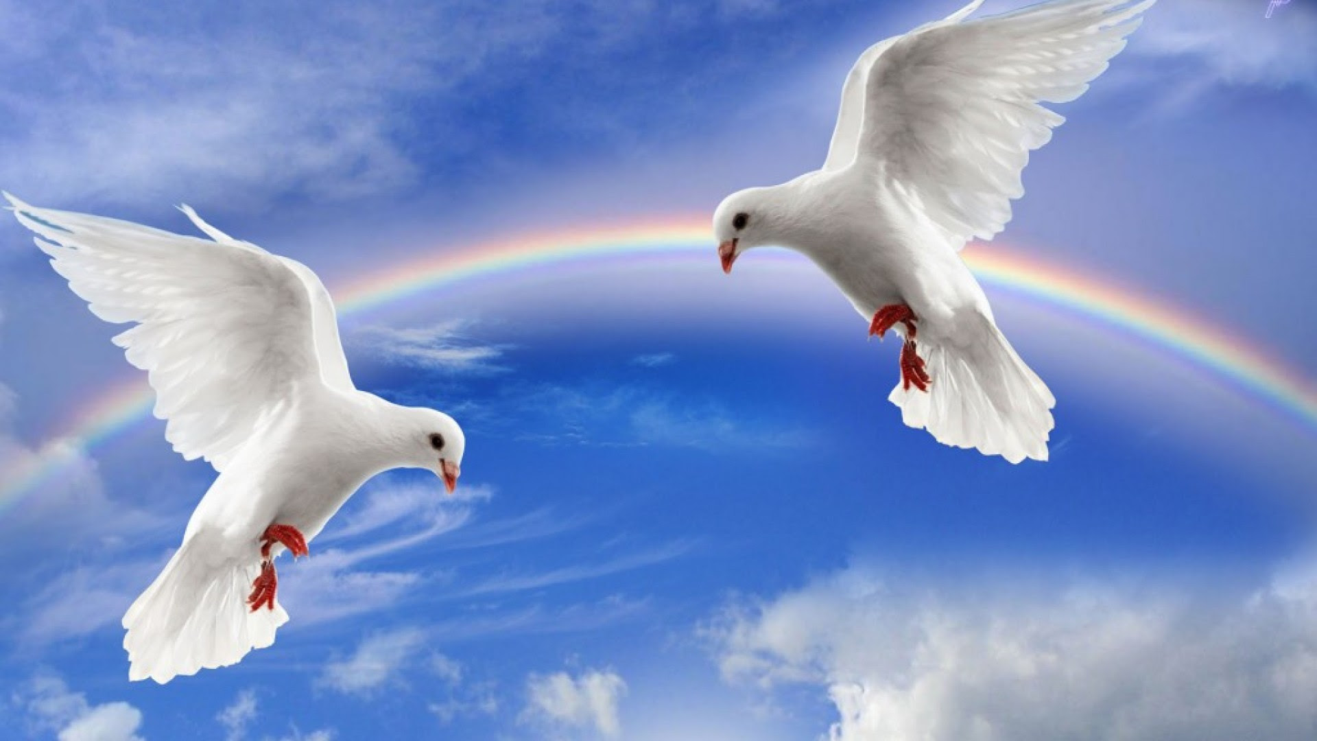 Nature Beauty Wallpaper (51+ images)