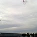 City_Day-2013-2013-08-3-ma-octoballoons.20