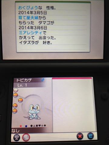 色違いいつ出るんだよ 色ケロマツ