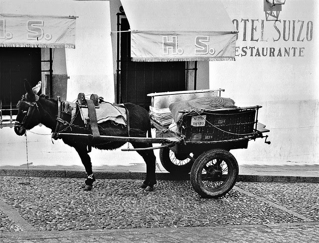Carro tirado por un burro frente al Hotel Suizo en Toledo en 1967. Fotografía de John Fyfe