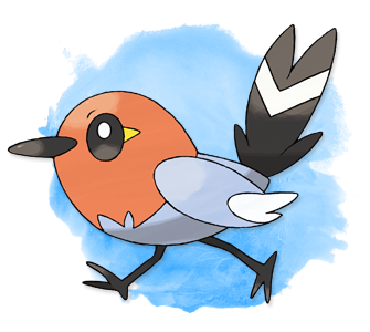ポケモンxy ヤヤコマの動画や画像を紹介 ポケモン剣盾 ソードシールド 攻略 最新情報 Pokemon Times