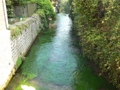la veule 1.jpg