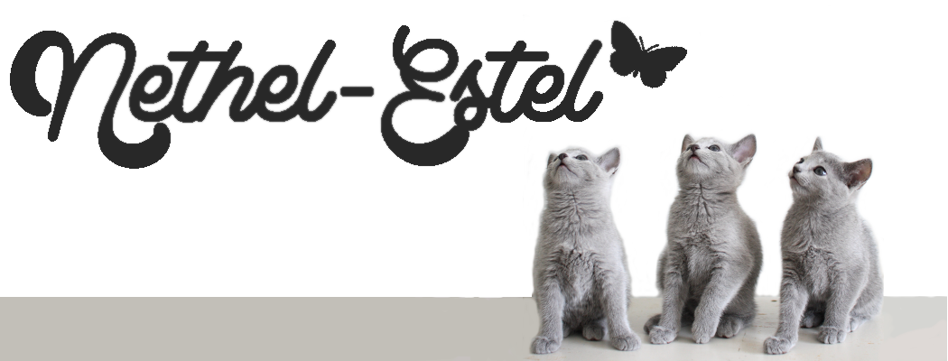 Nethel-Estel